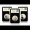 All three Sir Ernest Shackleton's coins in everslab