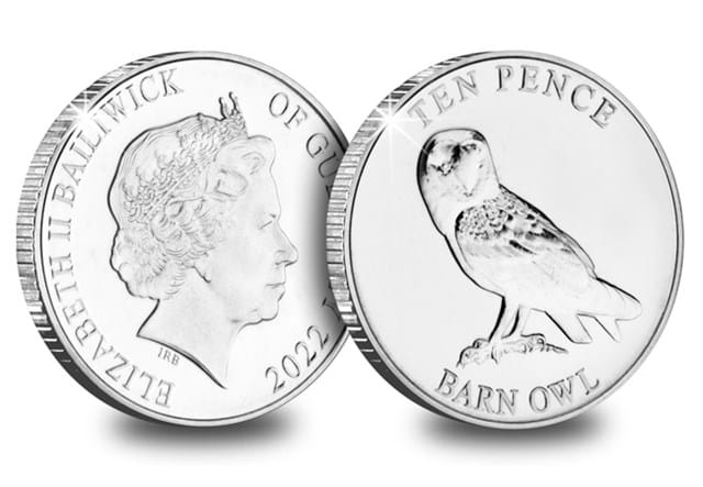 PB 2022 Guernsey Birds Of Prey Barn Owl OBV REV