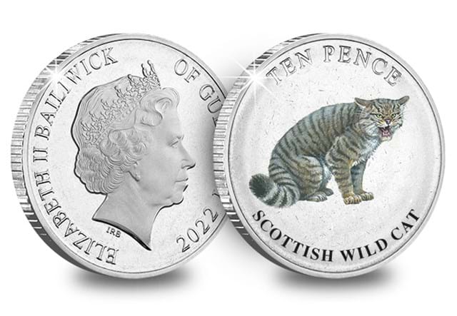 JG 2022 Guernsey Mammals P.2 BU COLOUR 10P Scottish Wildcat OBV REV