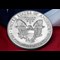 1986 US Silver Eagle 1Oz Obverse Flat
