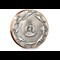 Stegosaurus Bi Metallic Coin Obverse