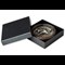 Stegosaurus Bi Metallic Coin Display Box