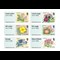 Jersey Flowers 10P Coin Cover Stamps