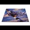 D Day Puzzle PP Whole