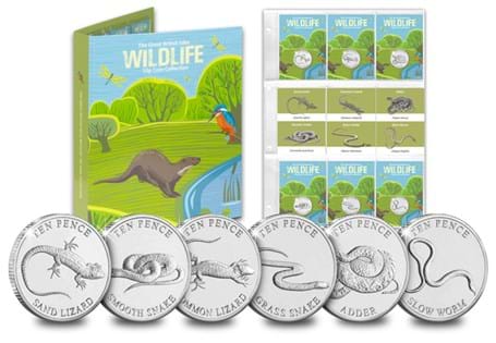 This stunning set celebrates some of the British Isles' most loved Reptiles; the Adder, Common Lizard, Grass Snake, Sand Lizard, Slow Worm and Smooth Snake.