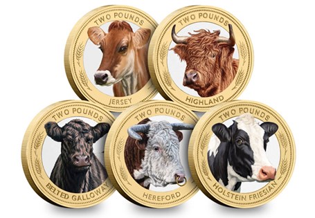 Celebrate British farming with five vividly coloured £2 coins, each showcasing an iconic cattle breed. Struck to a Brilliant Uncirculated condition and presented in a bespoke display pack.