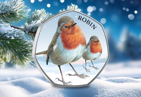 Designed by renowned wildlife illustrator, Mike Langman, this commemorative features a Christmas Robin in vivid colour. Also arrives within a collector card.