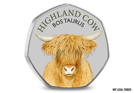 Celebrate Britain's iconic Highland Cow with this commemorative tribute.