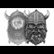 AT 2025 Viking Skull Coin Images 3