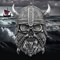 AT 2025 Viking Skull Coin Images 5
