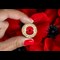 2025 Poppy BU Colour £1 Lifestyle 04
