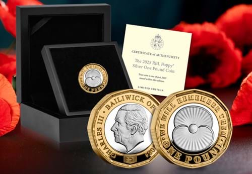 2025 Poppy Silver £1 Lifestyle 01