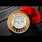 2025 Poppy Silver £1 Lifestyle 02