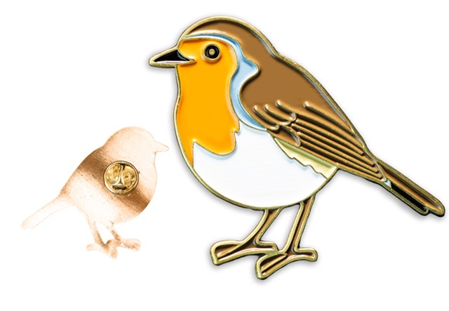 Robin Pins