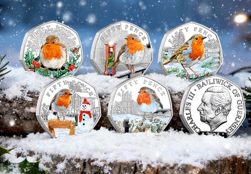 2025 Christmas Robin Silver 50P Set Snowy Setting