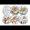 2025 Christmas Robin BU Colour 50P Set ALL REV (With Obv)