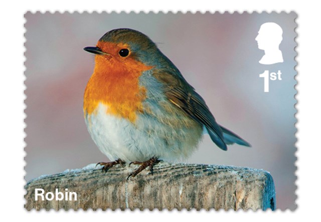 Christmas Robins Ultimate Pncs Images AT 4