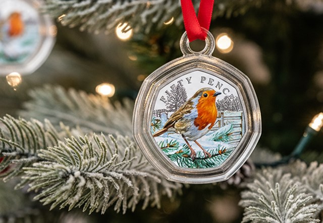 2025 Robin 50P In Bauble SINGLE Lifestyle 2