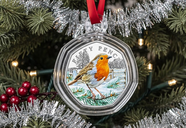 2025 Robin 50P In Bauble SINGLE Lifestyle 3