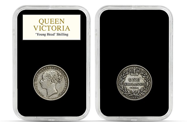 HME9 QV Young Head Shilling Everslabs 650X450 1