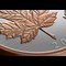 2026 $50 Fine Silver Coin Maple Leaves In Motion Lifestyle 05