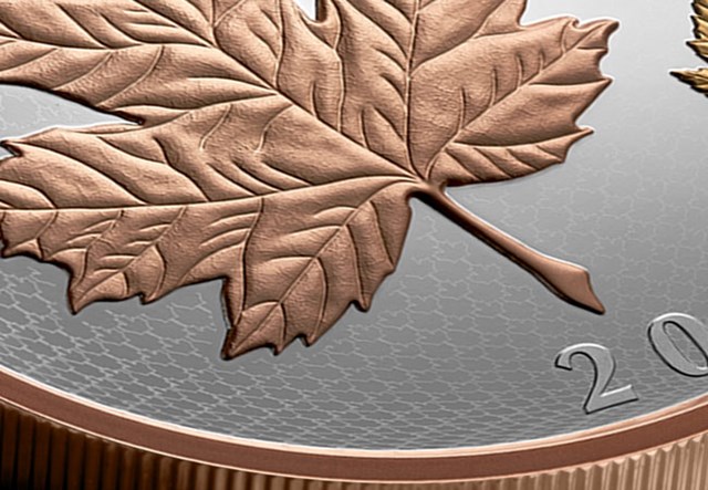 2026 $50 Fine Silver Coin Maple Leaves In Motion Lifestyle 05