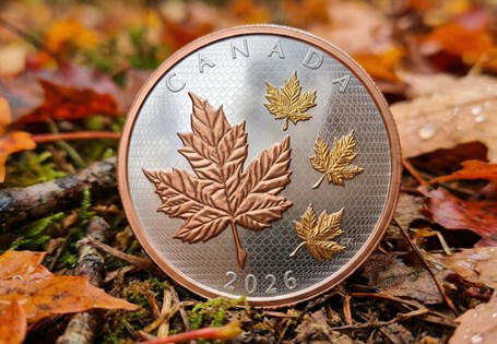 This Maple Leaf has been issued by the Royal Canadian Mint in 2025 and has been struck from 5oz of pure silver