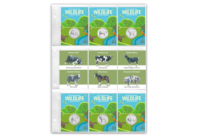 Heritage Breeds 10Ps (Non Coloured) Pocket Page Copy