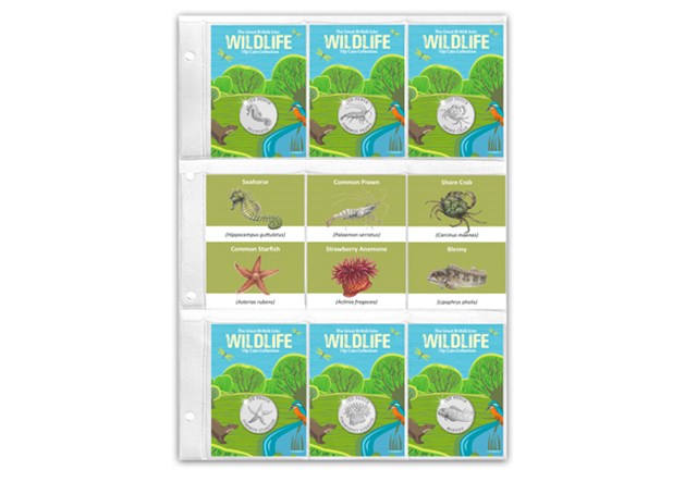 Rockpools 10Ps (Non Coloured) Pocket Page Copy